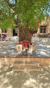 Unam