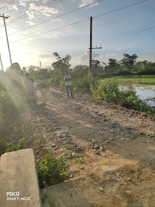 Nagaon High School