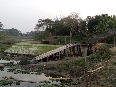 Pirojpur