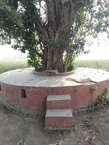 Bhairo baba स्थान