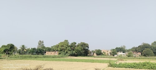 Kodar