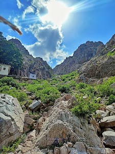 Amloda