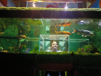 Fish Aquarium