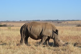 Rietvlei Nature Reserve