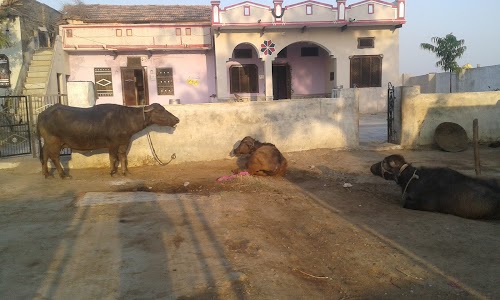 Bhabrana