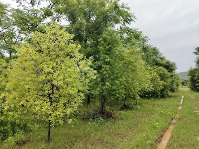 SIRIVANAM - SRIGANDHAM PLANTATION
