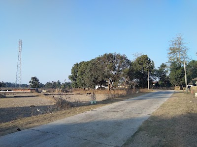 PATEL FORM HOUSE