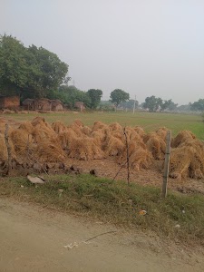 Daulatpur