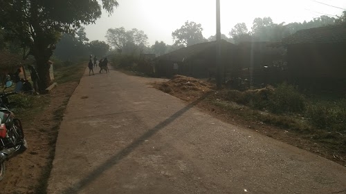 Patua