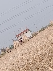 Library_pratham_jodhapura_bhind