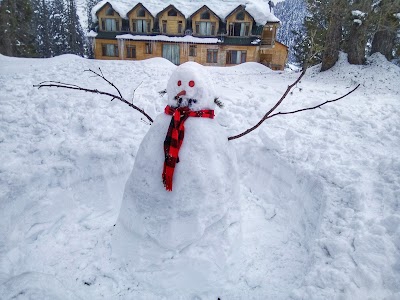Gulmarg Backcountry