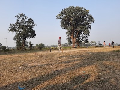 Sarkari park