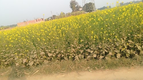 Handiyadih