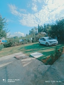 Shariq Gulzar