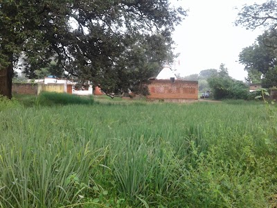 Bharatha Temple Chotu Pariyar