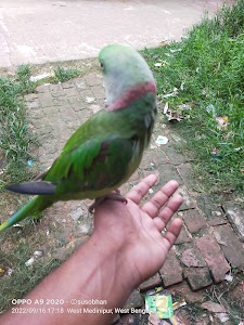 Bishnu pada bera
