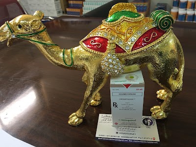 Toronto Veterinary S.P.C