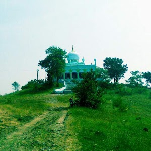 Pargi Tanda