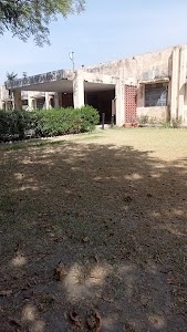 Government P.G College, Safidon