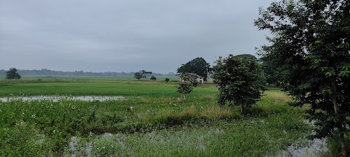 Kampur firm house