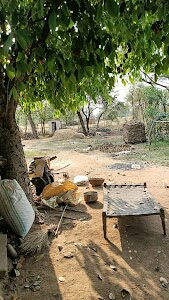 Kamal Kant