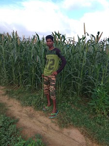 Suprajit Engineering