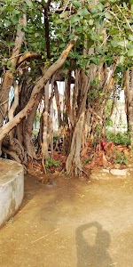 Alipur