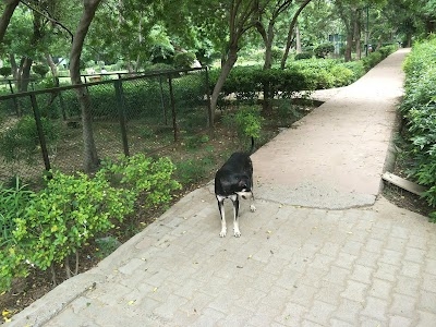 Sector 1, Rohini