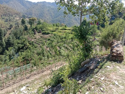 Kelodhar