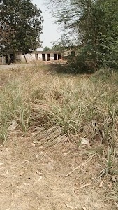 Primary School