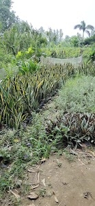 Govindpur