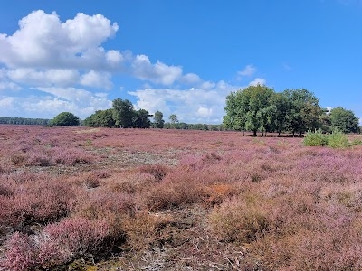 Goois Natuurreservaat Bussumerheide