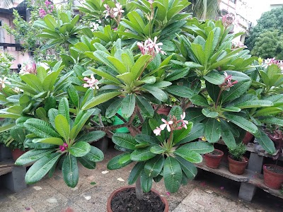 Ramgarh, Garia