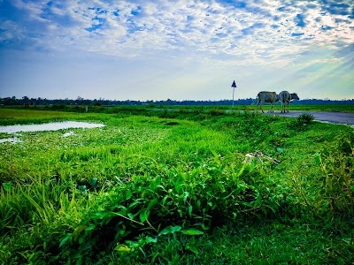 Tamuli Khat