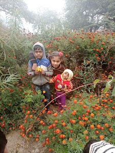 Deepak Rajput nivhara