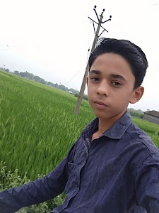 Bihari