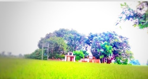 Sigarpur