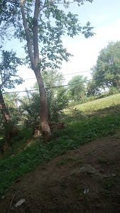 Cricket stadium