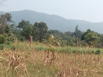 Dhundla