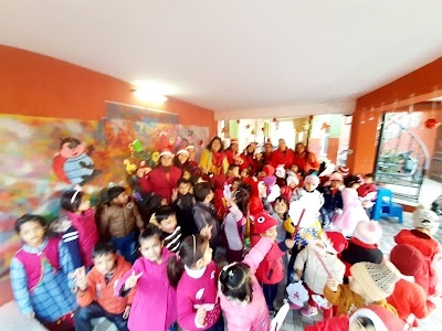 Little Wonder School