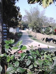 Badulipara