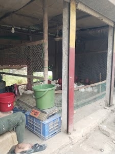 Kandail Hazi Market