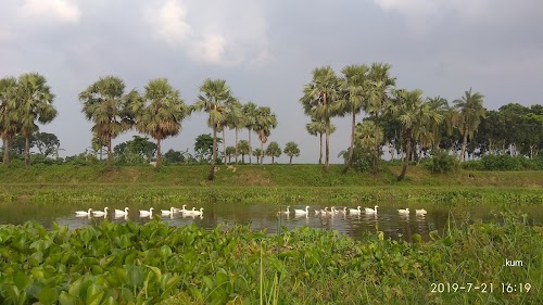 Ranghat
