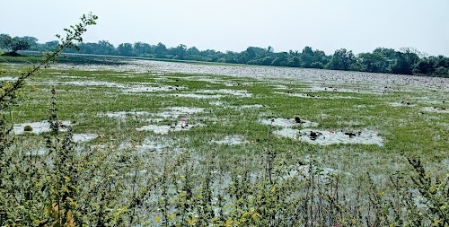 Chharwada