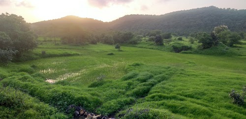 Sadadkuva Gujarat