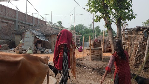 ?️Jay baba bajrang blee ?️?️?️?️