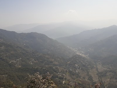 Soreng Forest Block