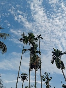 Dhemaji Gaon