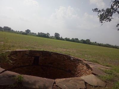 Patai