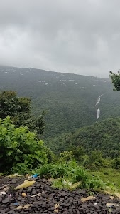 Vasat pada